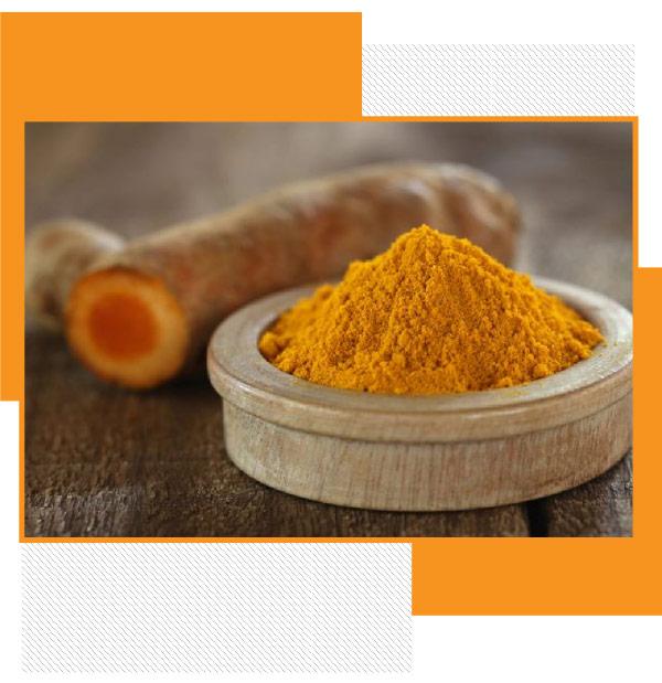 Turmeric the Wonder Spice